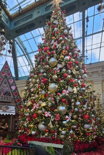 BellagioTree-from-2024-12-26-09-26-34.webp